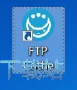 FTP(w)̳