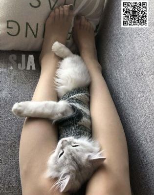 平凡职业成就世界最强_BD电影免费在线