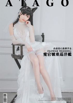 铁核桃 电视剧_DVD动漫免费观看